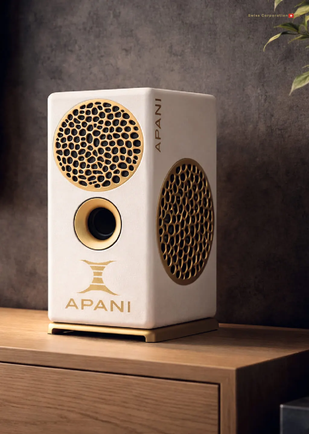 Apani Auris V compact loudspeaker