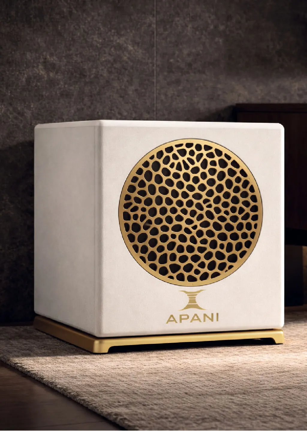 Apani Auris V Sub low-frequency extension